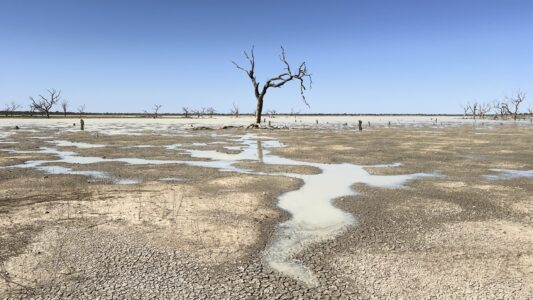 Sturt NP: Lake Pinaroo