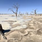 Sturt NP: Lake Pinaroo Sturt NP: Lake Pinaroo