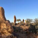Living Desert State Park, The Sculptures: "Habitat", Dr Ahmad Al Ahmad (Syria) Living Desert State Park, The Sculptures: "Habitat", Dr Ahmad Al Ahmad (Syria)