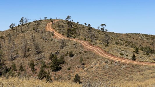 Bendleby Ranges Track