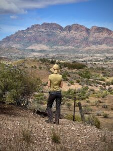 Merna Mora: Moralana scenic drive