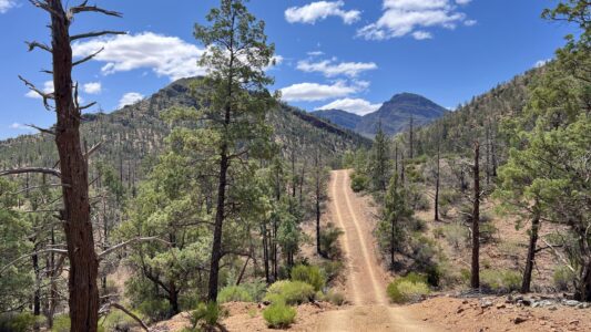 Merna Mora Bunbinyunna Track
