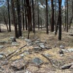 Merna Mora Bunbinyunna Track Merna Mora Bunbinyunna Track