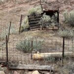 Merna Mora Bunbinyunna Track: Schäfer-Unterstand Merna Mora Bunbinyunna Track: Schäfer-Unterstand