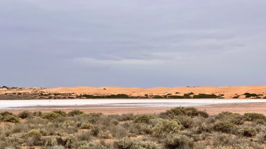 Unterwegs Richung Lake Gairdner NP