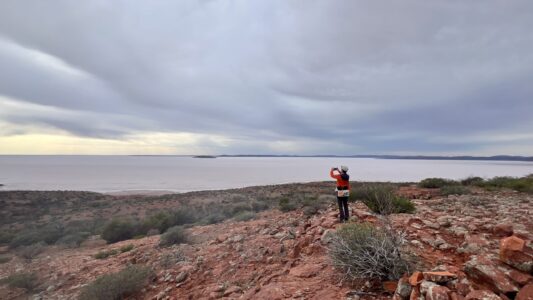 Lake Gairdner NP