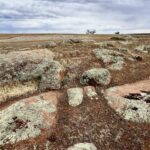 Unterwegs Richtung Kimba: Buckleboo Road Unterwegs Richtung Kimba: Buckleboo Road