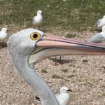 Streaky Bay Streaky Bay