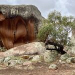 Murphy Haystack Murphy Haystack