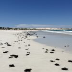 Sheringa Beach Sheringa Beach