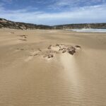 Greenly Beach Greenly Beach