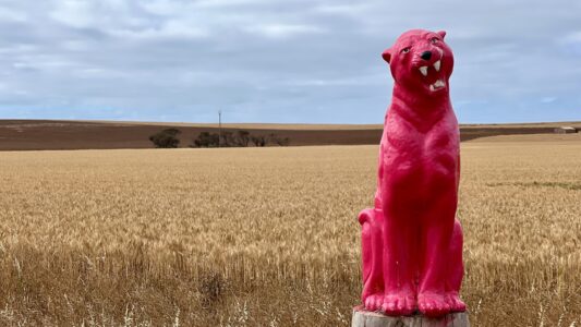 Weizenfeld & Pink Panther