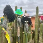 Port Neill: Stachlige Geister Port Neill: Stachlige Geister