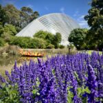 Adelaide: Botanical Garden Adelaide: Botanical Garden