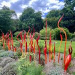 Adelaide: Botanical Garden, Dale Chihuly Glaskunst Adelaide: Botanical Garden, Dale Chihuly Glaskunst