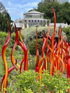 Adelaide: Botanical Garden, Dale Chihuly Glaskunst