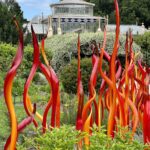 Adelaide: Botanical Garden, Dale Chihuly Glaskunst Adelaide: Botanical Garden, Dale Chihuly Glaskunst