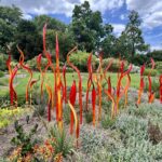 Adelaide: Botanical Garden, Dale Chihuly Glaskunst Adelaide: Botanical Garden, Dale Chihuly Glaskunst