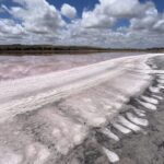 Coorong NP Coorong NP