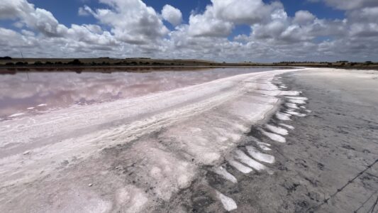 Coorong NP