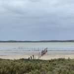 Coorong NP Coorong NP