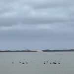 Coorong NP Coorong NP