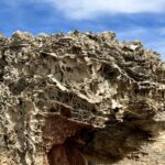 Cape Bridgewater: Petrified Forest Cape Bridgewater: Petrified Forest