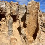 Cape Bridgewater: Petrified Forest Cape Bridgewater: Petrified Forest