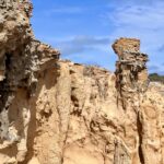 Cape Bridgewater: Petrified Forest Cape Bridgewater: Petrified Forest