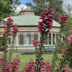 Ballarat: botanischer Garten Ballarat: botanischer Garten