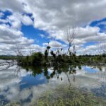 Ballarat: Lake Wendouree Ballarat: Lake Wendouree