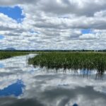 Ballarat: Lake Wendouree Ballarat: Lake Wendouree