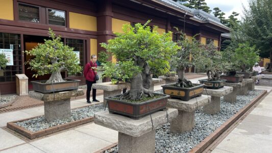 Kowloon: Nam Lian Garden