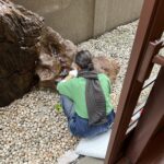 Kowloon: Nam Lian Garden Kowloon: Nam Lian Garden