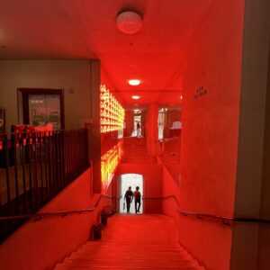Tai Kwun Kulturzentrum