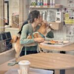 Tai Hang Quartier Tai Hang Quartier