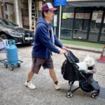 Tai Hang Quartier Tai Hang Quartier