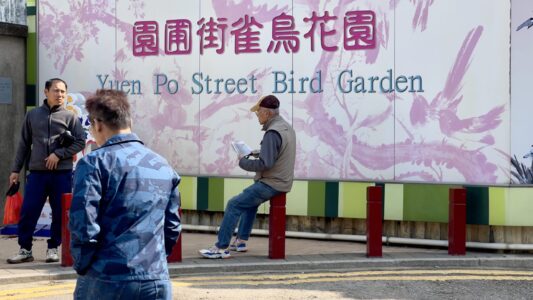Mong Kog Quartier: Yen Po Street Bird Garden