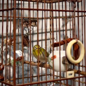 Mong Kog Quartier: Yen Po Street Bird Garden