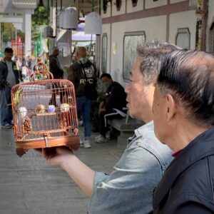 Mong Kog Quartier: Yen Po Street Bird Garden