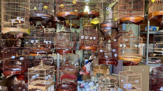 Mong Kog Quartier: Yen Po Street Bird Garden