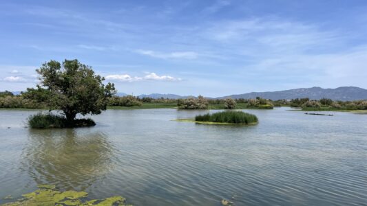 Parque Natural Aiguamolls del Empordà
