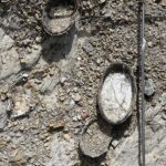 Sierra de Boumort: Überreste von Dinosauriereiern Sierra de Boumort: Überreste von Dinosauriereiern