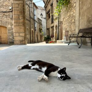 Llimiana, unser Begleiter