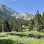 Ibònet de la Scarpinosa Ibònet de la Scarpinosa