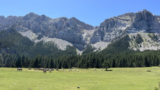 Sierra Cadix Moixero: Prat de Cadix