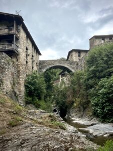 Beget