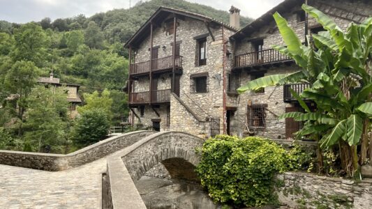 Beget