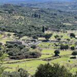 Das antike Messene Das antike Messene