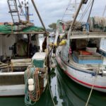 Am Hafen von Novigrad Am Hafen von Novigrad